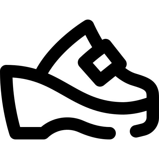 Shoe