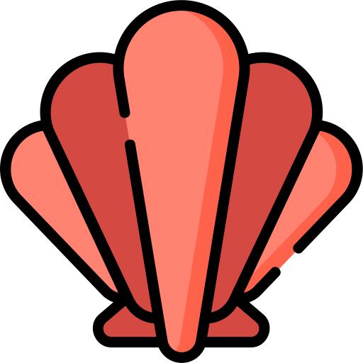 Shell