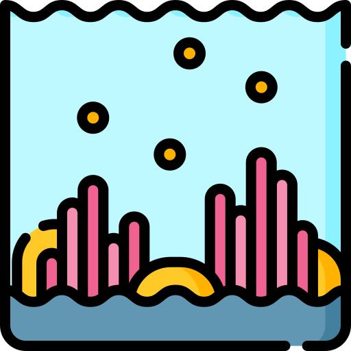 Coral reef