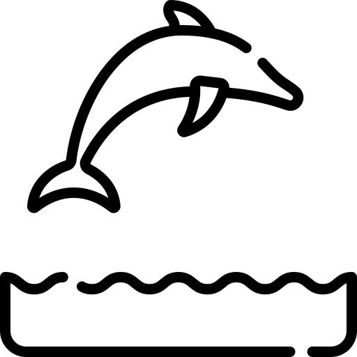 海豚