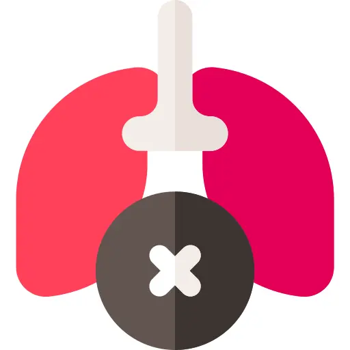 Lungs