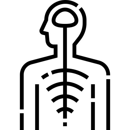 Nervous system