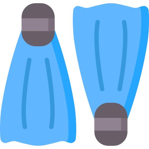 Flippers