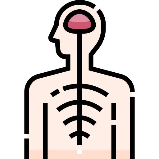 Nervous system