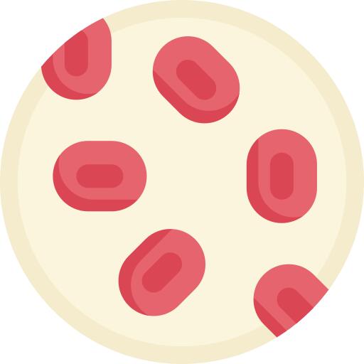 Blood