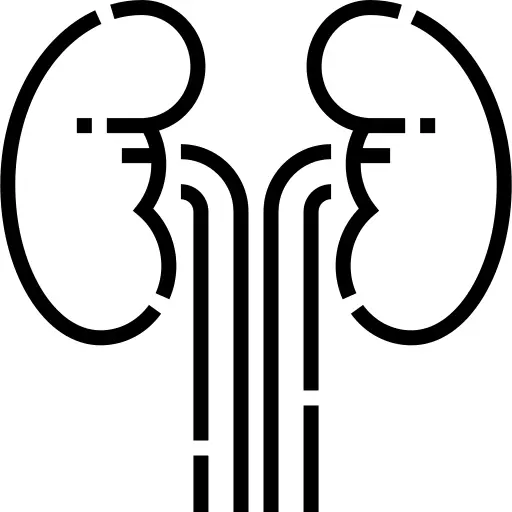 Kidneys