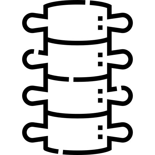 Spine
