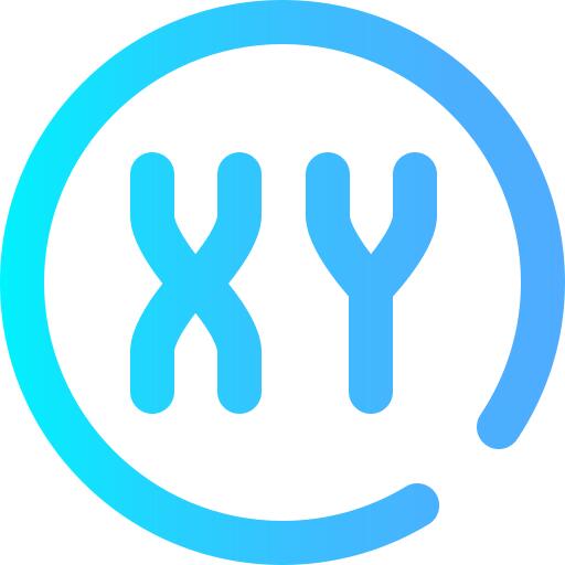 Xy