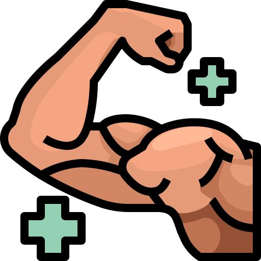 Muscles