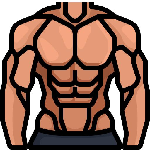 Muscles