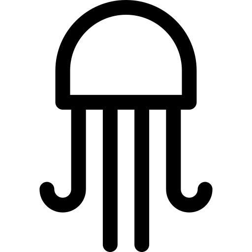 Jellyfish