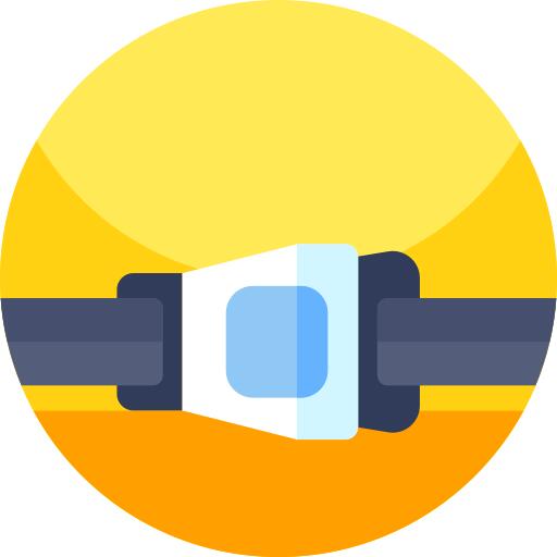 Seatbelt