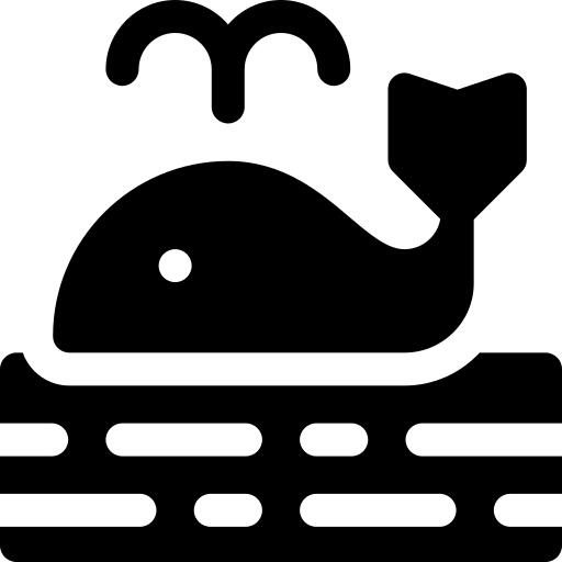 Whale