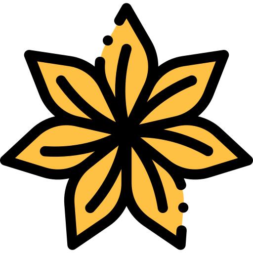 Anise
