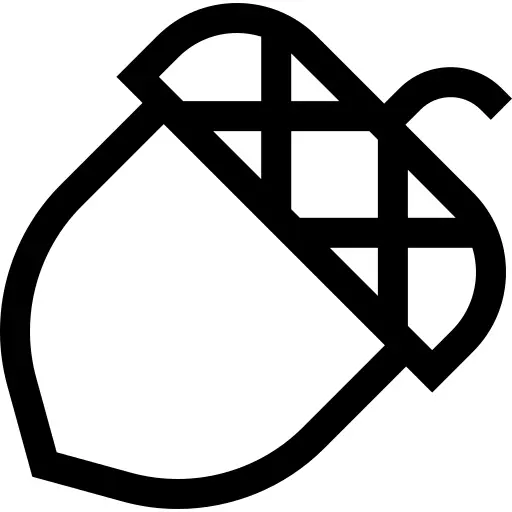 Acorn