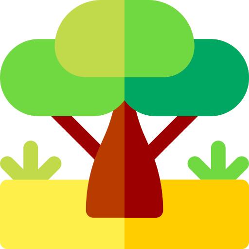 Baobab
