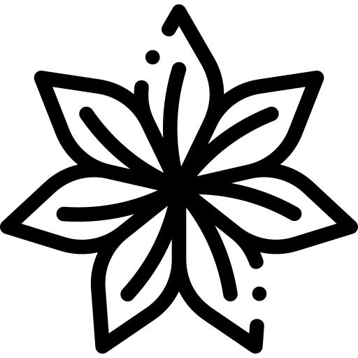 Anise