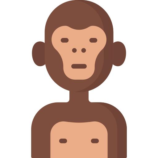Primate
