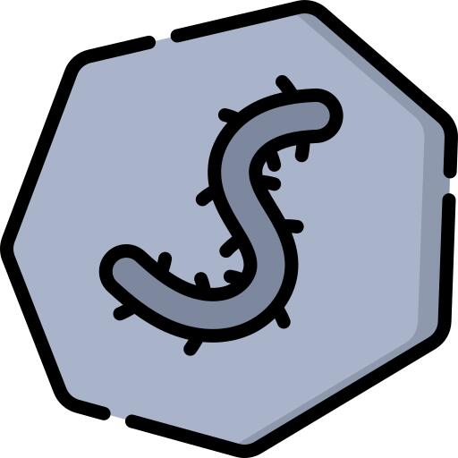 Fossil