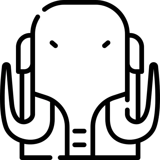 Mammoth