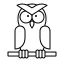 猫头鹰