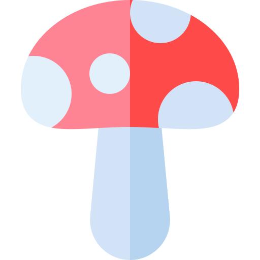 蘑菇