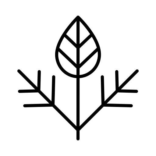 干