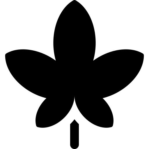 Dry leaf