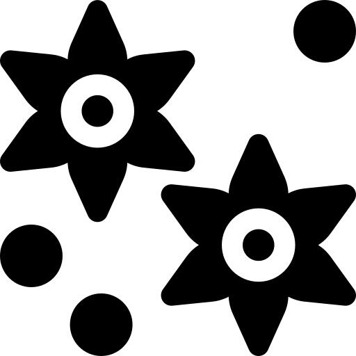 Anise