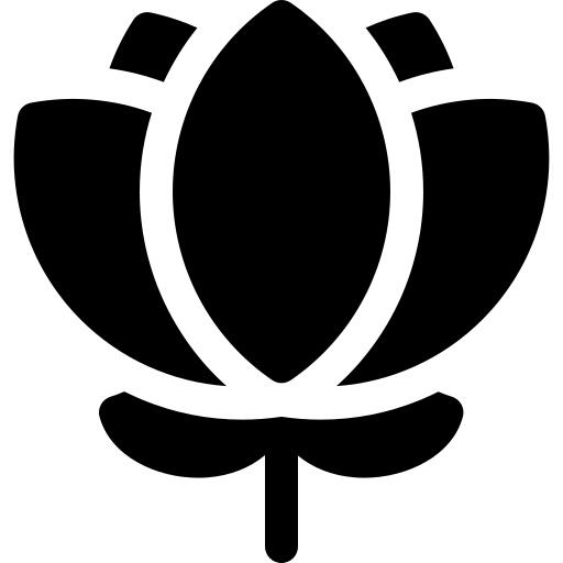 莲花
