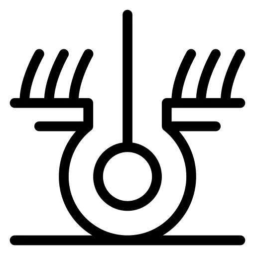Follicle