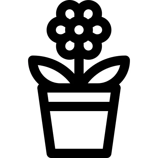 花盆