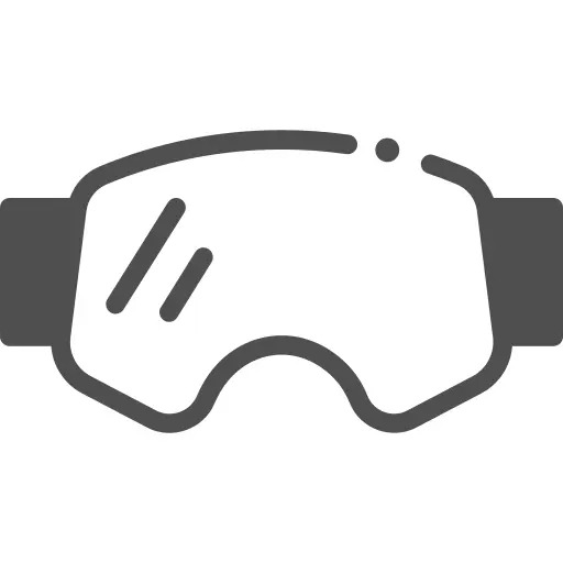 Ski goggles