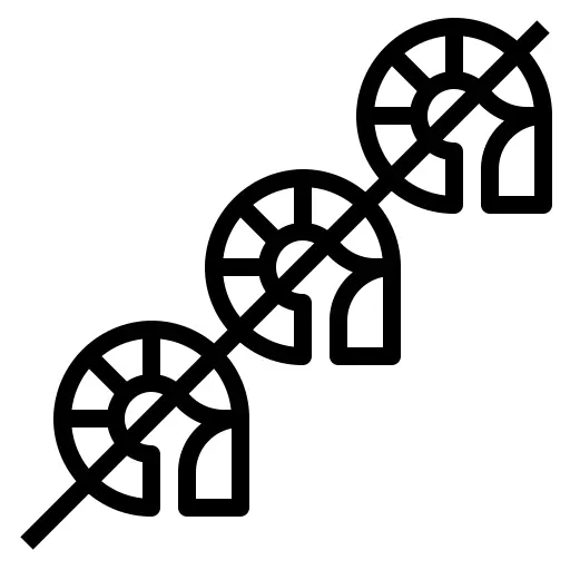 虾