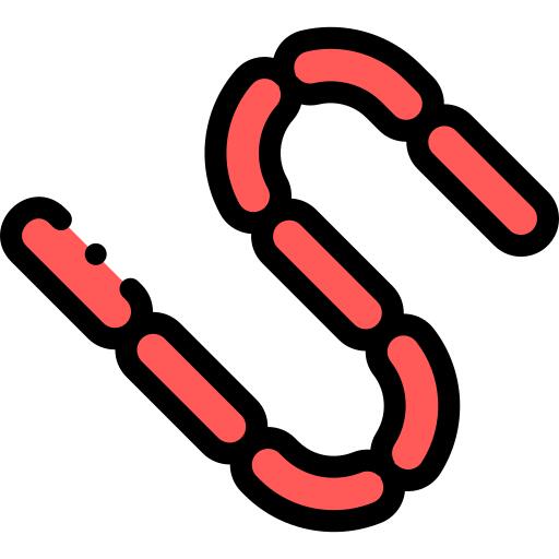Sausages