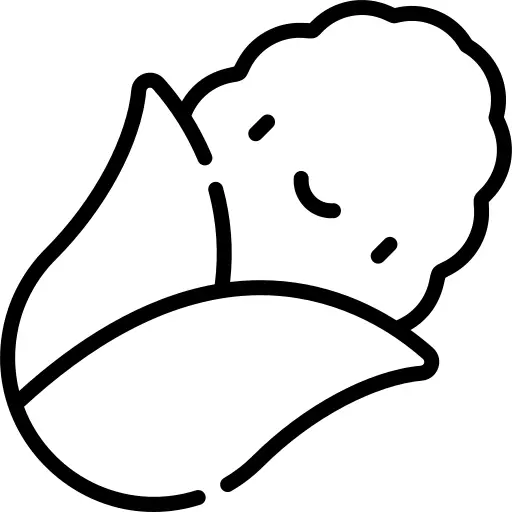 玉米