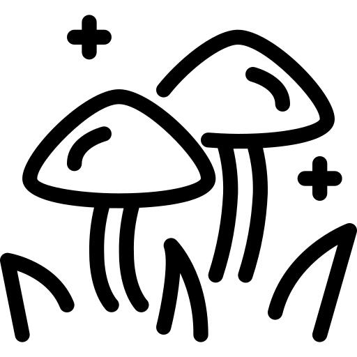 Mushrooms