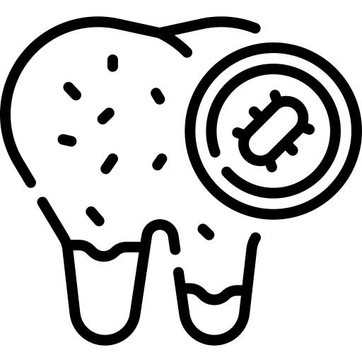 Bacteria