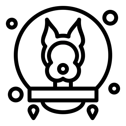 狗