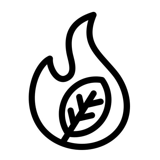 生态学