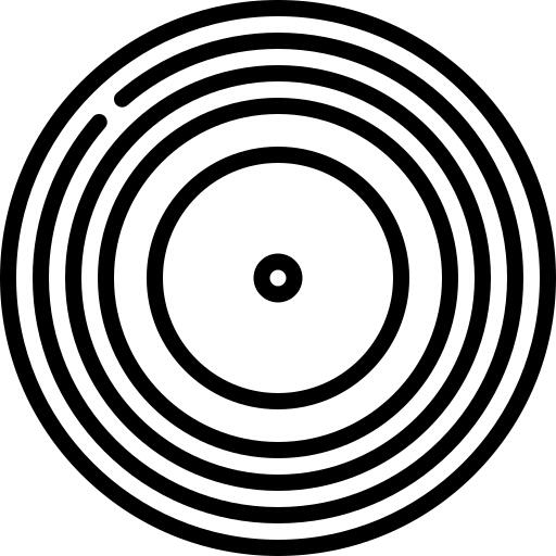 Vinyl record