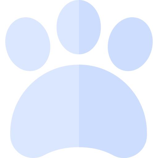 Footprint