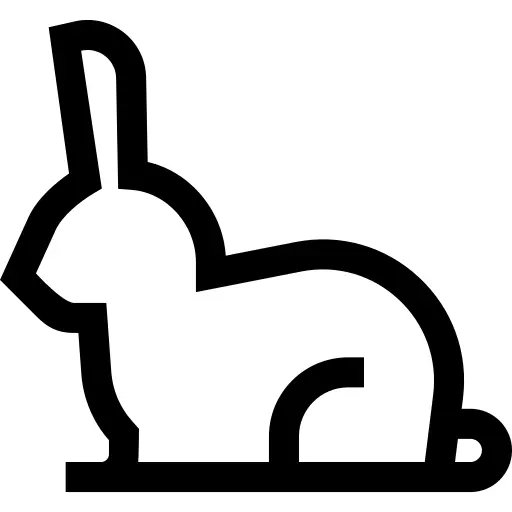 兔子