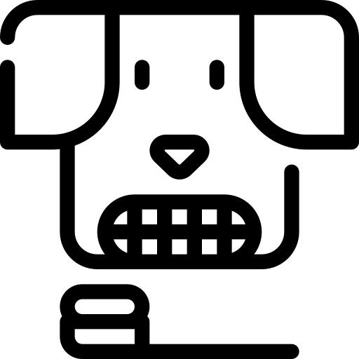 刷牙