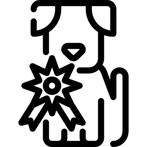 奖