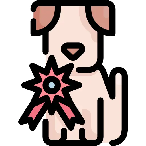 奖