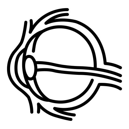 Eye