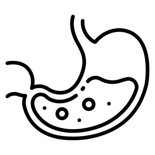 Stomach