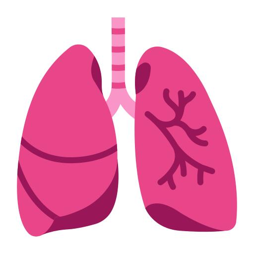 Lung
