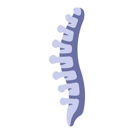 Spine